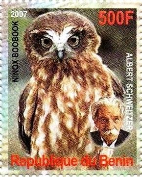 Ninox boobook