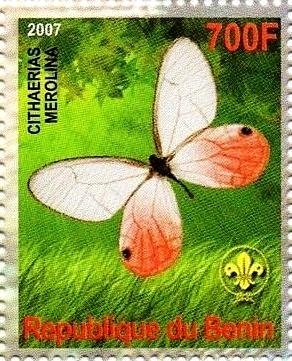 Stamp, Cithaerias merolina, Cinderellas,  , Butterflies, Insects