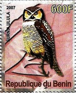 Stamp, Surnia ulula, Cinderellas,  , Birds, Owls