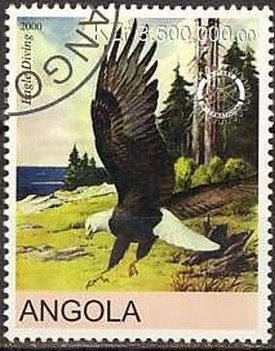 Eagles