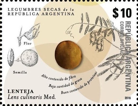 Lens culinaris