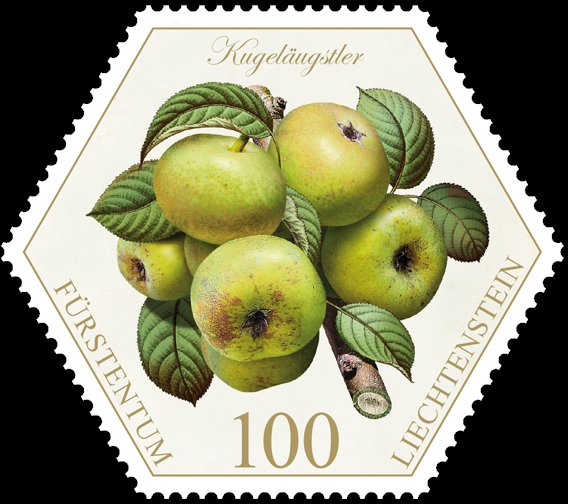 Pears: "Kugeläugstler"