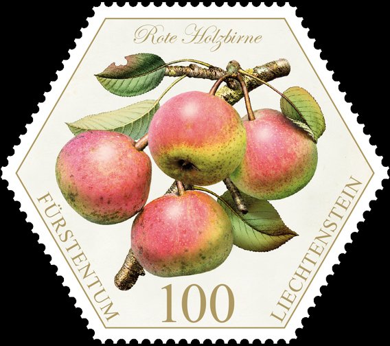 Pears: "Rote Holzbirne"
