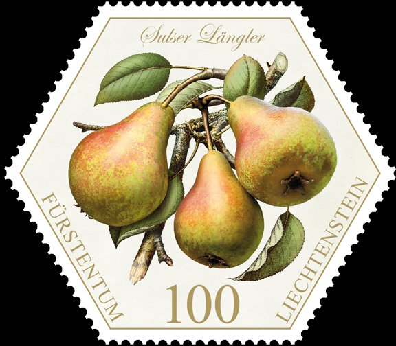 Pears: "Sulser Längler"