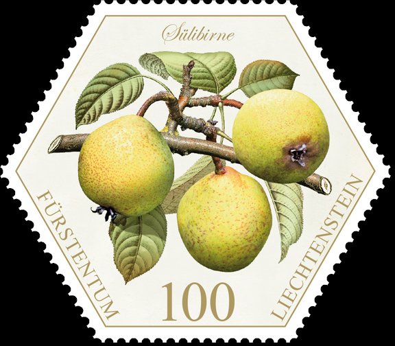 Pears: "Sülibirne"