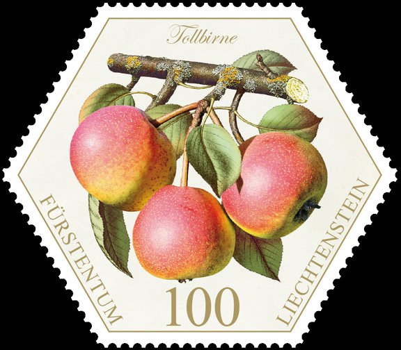 Pears: "Tollbirne"