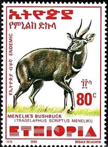 Stamp, Menelik's Bushbuck (Tragelaphus scriptus meneliki), Ethiopia,  , Animals (Fauna), Antelopes, Mammals
