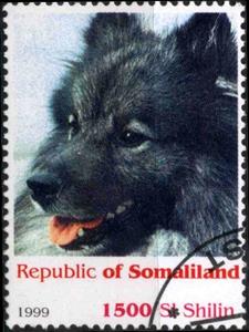 Stamp, Dog, Cinderellas,  , Dogs