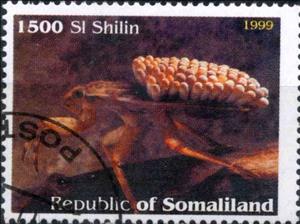 Stamp, Insects, Cinderellas,  , Insects