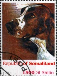 Stamp, Dog, Cinderellas,  , Dogs