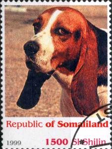 Stamp, Dog, Cinderellas,  , Dogs