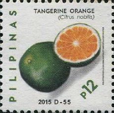 Tamarind Orange (Citrus nobilis) Dalanghita