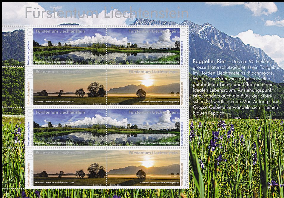 Ruggeler Riet