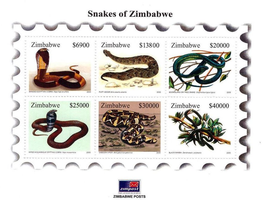 Snakes - MiNo. 816-21