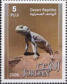 Lizard