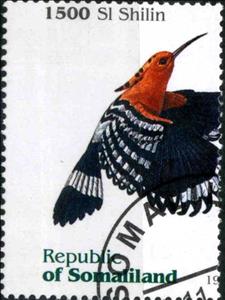 Stamp, Bird, Cinderellas,  , Birds