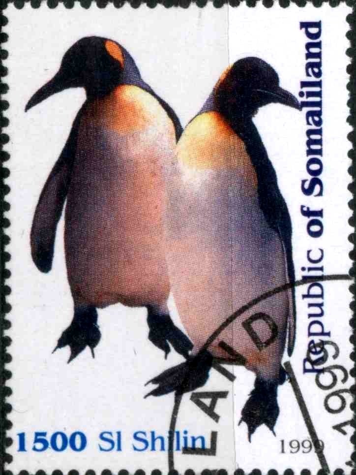 Penguins