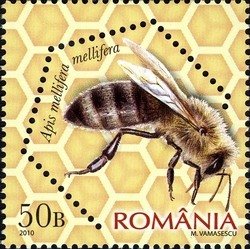 Stamp, Dark European Honey Bee (Apis mellifera mellifera) , Romania,  , Insects, Bees, Animals (Fauna)