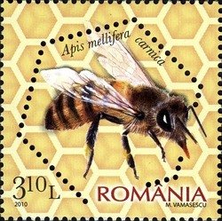 Stamp, Carniolan Honey Bee (Apis mellifera carnica), Romania,  , Insects, Bees, Animals (Fauna)