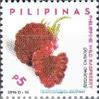 Philippine Wild Berry (Rollinia deliciosa) Sapinit
