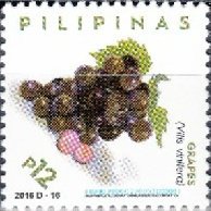 Grapes (Vitis vinifera)