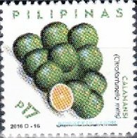 Calamansi (Citrofortunella mitis)