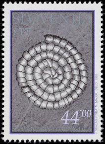 Fossils of Dolžanova soteska