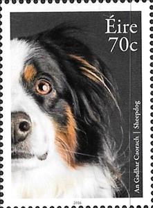 Stamp, Sheepdog, Ireland,  , Animals (Fauna), Dogs, Mammals