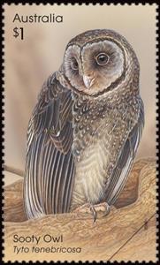 Stamp, Sooty Owl (Tyto tenebricosa), Australia,  , Animals (Fauna), Birds, Birds of Prey, Owls