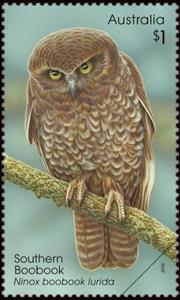 Stamp, Southern Boobook (Ninox boobook lurida), Australia,  , Animals (Fauna), Birds, Birds of Prey, Owls
