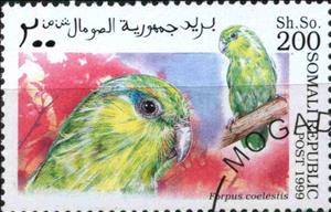 Stamp, Forpus coelestis, Cinderellas,  , Birds
