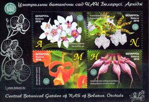 Souvenir Sheet, Orchids, Belarus,  , Orchids