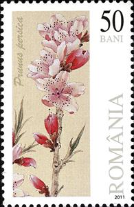 Stamp, Peach blossom, Romania,  , Flowers, Plants (Flora)