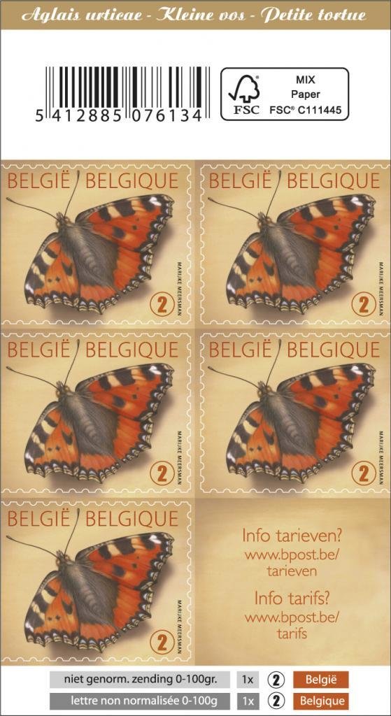 Small Tortoiseshell (Aglais urticae) - Booklet