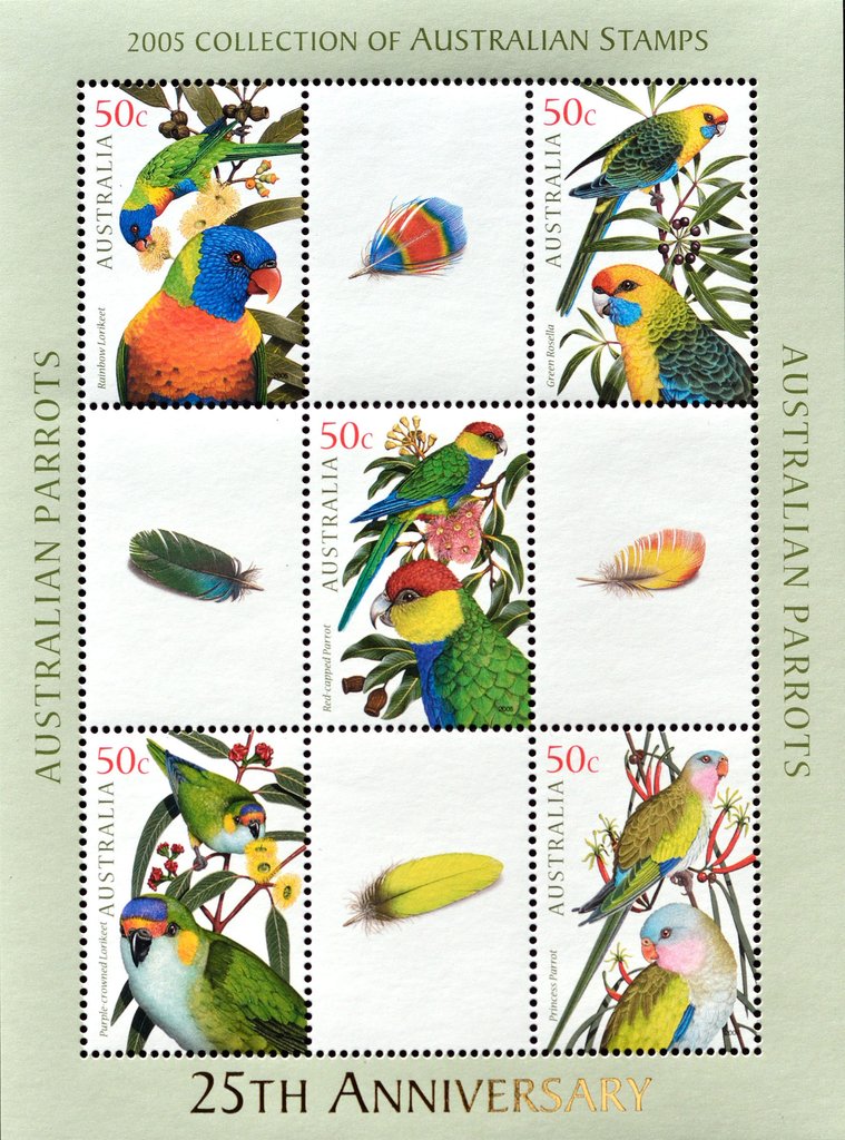 Parrots