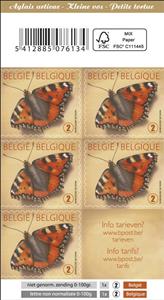 Booklet, Small Tortoiseshell (Aglais urticae) - Booklet, Belgium,  , Insects, Butterflies, Animals (Fauna)