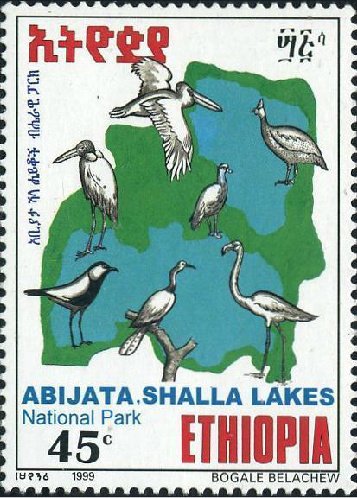 Abijata, Shalla Lakes