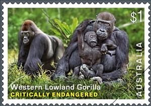 Stamp, Western Lowland Gorilla (Gorilla gorilla gorilla), Australia,  , Animals (Fauna), Apes