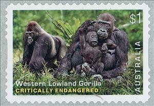 Stamp, Western Lowland Gorilla (Gorilla gorilla gorilla), Australia,  , Animals (Fauna), Apes