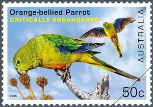 Stamp, Orange-bellied Parrot (Neophema chrysogaster), Australia,  , Animals (Fauna), Birds, Parrots