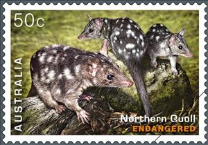 Stamp, Northern Quoll (Dasyurus hallucatus), Australia,  , Animals (Fauna), Mammals