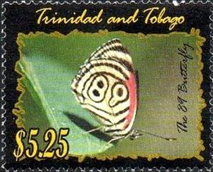 Stamp, Cramer's Eighty-eight (Diaethria clymena), Trinidad and Tobago,  , Animals (Fauna), Butterflies, Insects