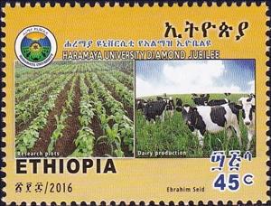 Stamp, Haramaya University, Ethiopia,  , Universities
