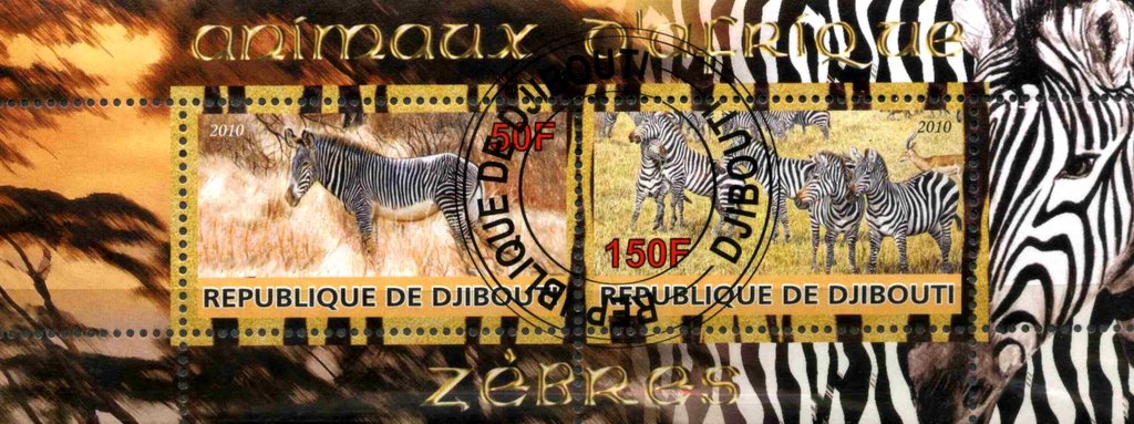 Zebres