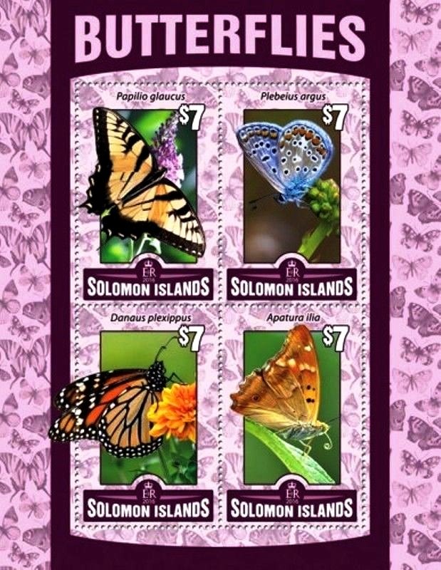 Butterflies