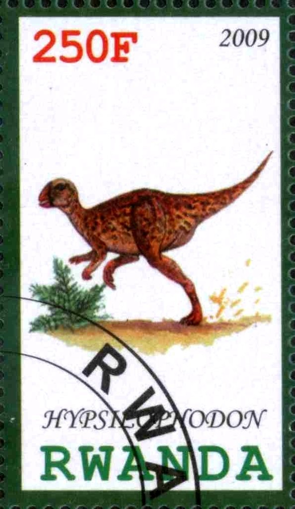 Hypsiliphodon