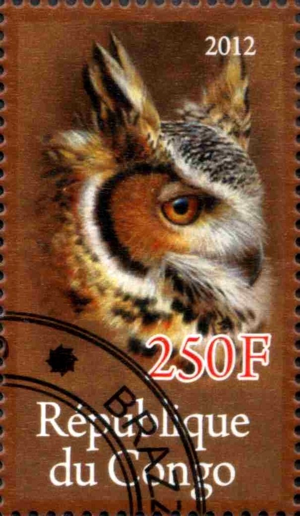 Owl