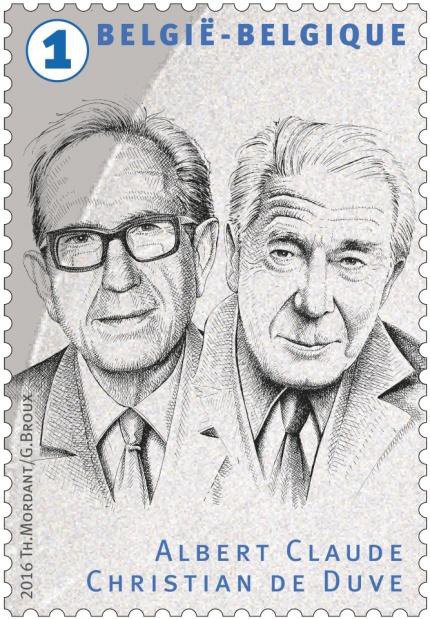 Albert Claude and Christian de Duve 1974 Medecine