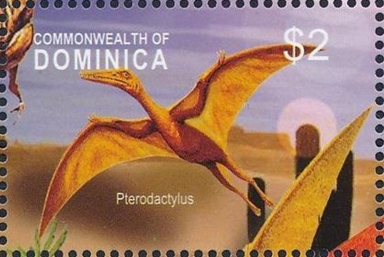 Pterodactylus