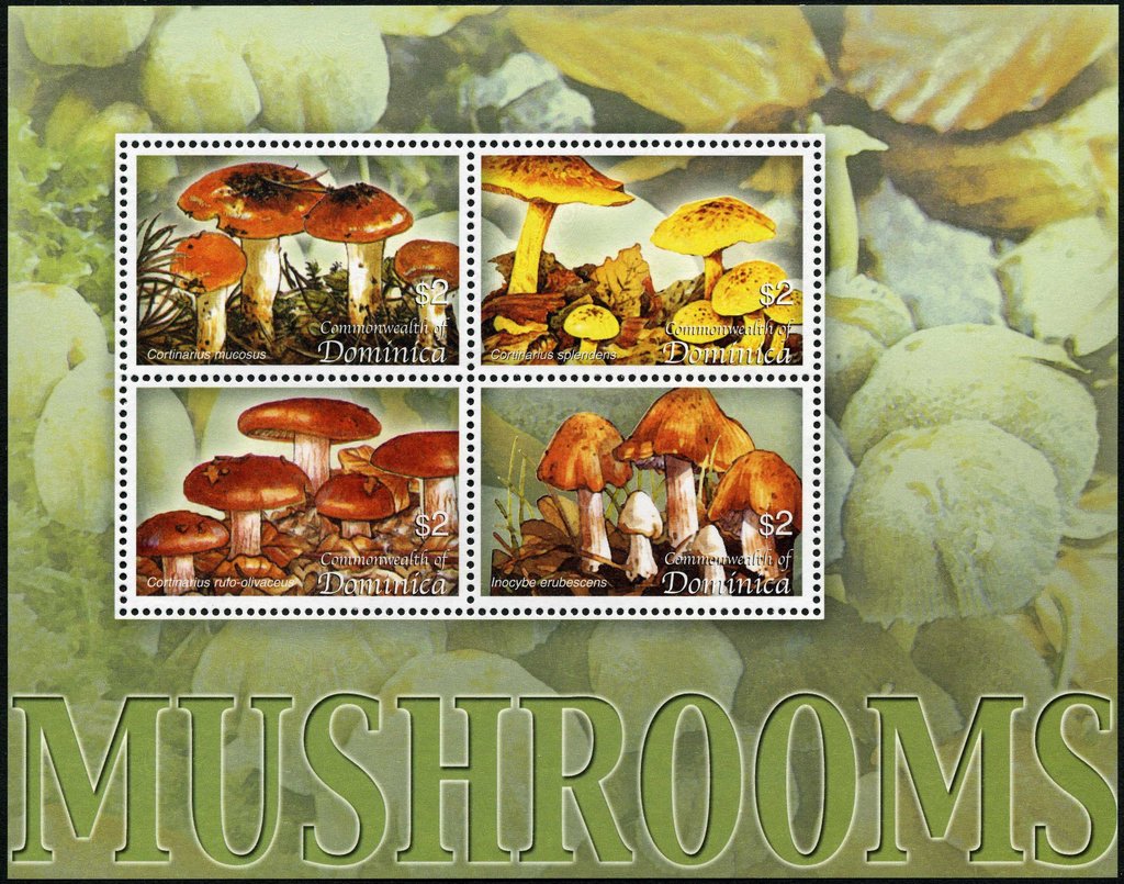 Mushrooms